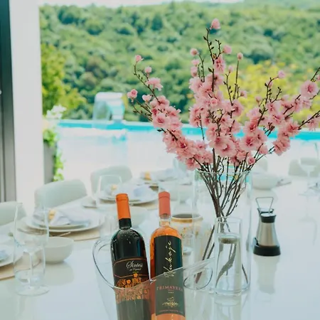 Salkic Villa